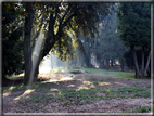 foto Parco di Villa Borghese